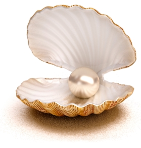 Decorative image